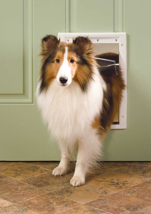 PetSafe Plastic Pet Door