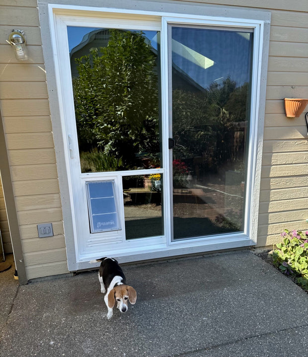 Pet Door Guys In The Glass Pet Door