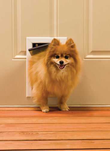 PetSafe Freedom Aluminum Pet Door