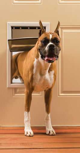 PetSafe Freedom Aluminum Pet Door