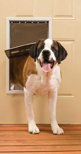 PetSafe Freedom Aluminum Pet Door