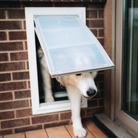 dog using an endura flap pet door installed into a brick wall