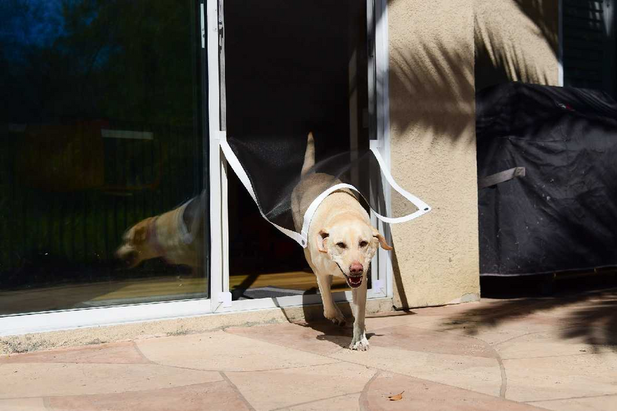 How to Convert Your Screen Door into a Pet Door with a Screen Pet Door Conversion Kit